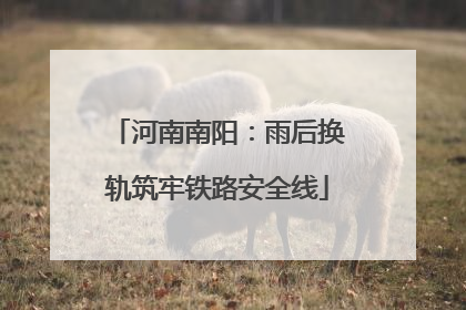 河南南阳：雨后换轨筑牢铁路安全线
