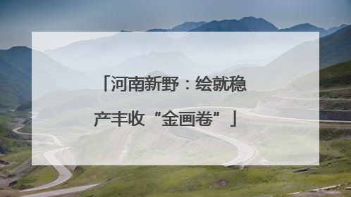 河南新野：绘就稳产丰收“金画卷”
