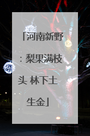河南新野：梨果满枝头 林下土生金