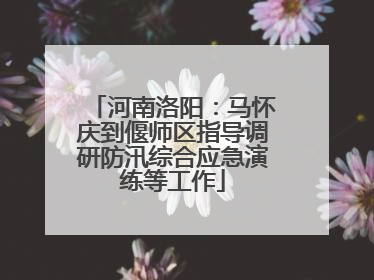 河南洛阳：马怀庆到偃师区指导调研防汛综合应急演练等工作