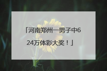 河南郑州一男子中624万体彩大奖！