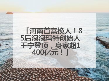 河南首富换人！85后泡泡玛特创始人王宁登顶，身家超1400亿元！