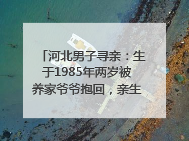 河北男子寻亲：生于1985年两岁被养家爷爷抱回，亲生父母疑为四川仪陇人｜红星寻人