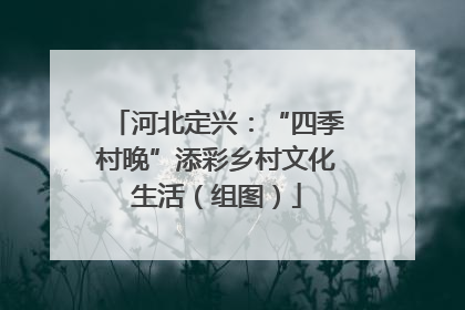 河北定兴：“四季村晚”添彩乡村文化生活（组图）