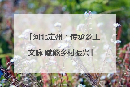 河北定州：传承乡土文脉 赋能乡村振兴
