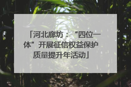 河北廊坊：“四位一体”开展征信权益保护质量提升年活动