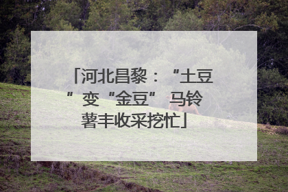 河北昌黎：“土豆”变“金豆” 马铃薯丰收采挖忙