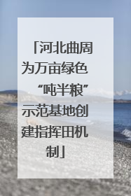 河北曲周为万亩绿色“吨半粮”示范基地创建指挥田机制