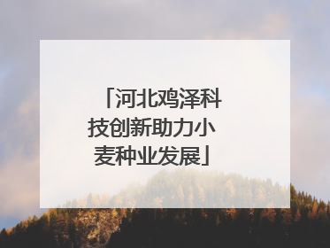 河北鸡泽科技创新助力小麦种业发展