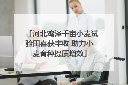 河北鸡泽千亩小麦试验田喜获丰收 助力小麦育种提质增效