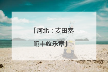 河北：麦田奏响丰收乐章