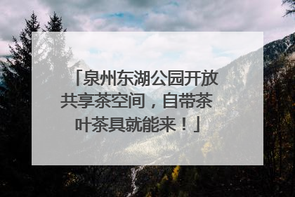 泉州东湖公园开放共享茶空间，自带茶叶茶具就能来！