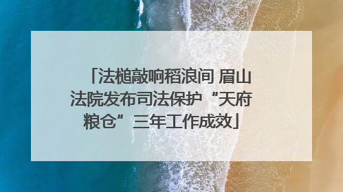 法槌敲响稻浪间 眉山法院发布司法保护“天府粮仓”三年工作成效