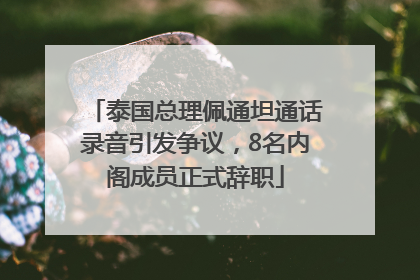 泰国总理佩通坦通话录音引发争议，8名内阁成员正式辞职