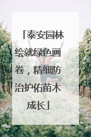 泰安园林绘就绿色画卷，精细防治护佑苗木成长