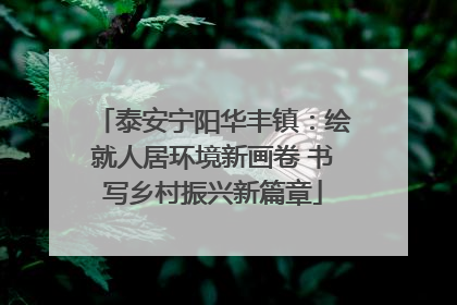 泰安宁阳华丰镇：绘就人居环境新画卷 书写乡村振兴新篇章