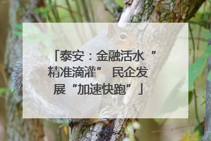 泰安：金融活水“精准滴灌” 民企发展“加速快跑”