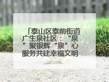 泰山区泰前街道广生泉社区：“泉”聚银辉“泉”心服务共建幸福文明和谐家园