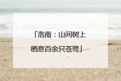 洛南：山间树上栖息百余只苍鹭