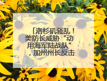 洛杉矶骚乱！美防长威胁“动用海军陆战队”，加州州长反击：精神错乱