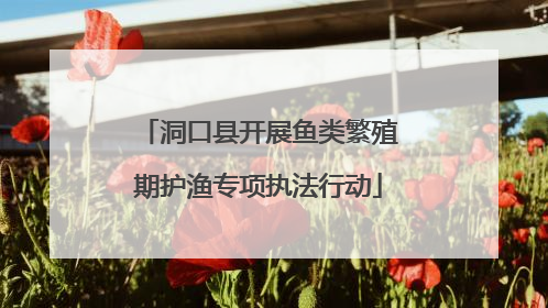 洞口县开展鱼类繁殖期护渔专项执法行动