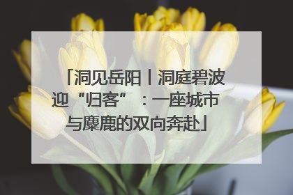 洞见岳阳丨洞庭碧波迎“归客”：一座城市与麋鹿的双向奔赴