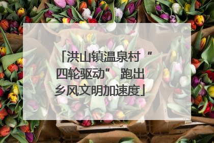 洪山镇温泉村“四轮驱动” 跑出乡风文明加速度