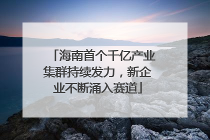 海南首个千亿产业集群持续发力，新企业不断涌入赛道