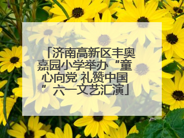 济南高新区丰奥嘉园小学举办“童心向党 礼赞中国”六一文艺汇演