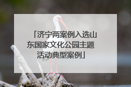 济宁两案例入选山东国家文化公园主题活动典型案例