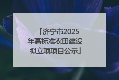 济宁市2025年高标准农田建设拟立项项目公示