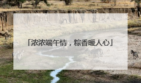 浓浓端午情，粽香暖人心
