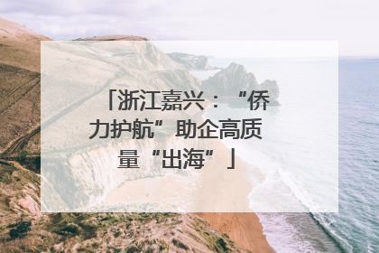 浙江嘉兴：“侨力护航”助企高质量“出海”