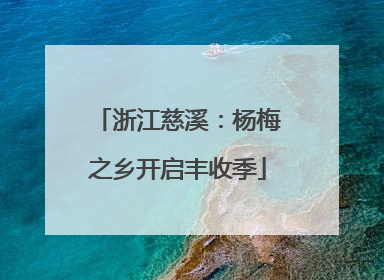 浙江慈溪：杨梅之乡开启丰收季