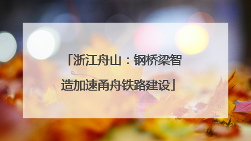 浙江舟山：钢桥梁智造加速甬舟铁路建设