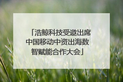 浩鲸科技受邀出席中国移动中资出海数智赋能合作大会