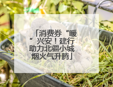 消费券“暖”兴安！建行助力北疆小城烟火气升腾