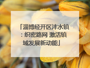 淄博经开区沣水镇：织密路网 激活镇域发展新动能