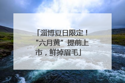 淄博夏日限定！“六月黄”提前上市，鲜掉眉毛
