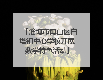 淄博市博山区白塔镇中心学校开展数学特色活动