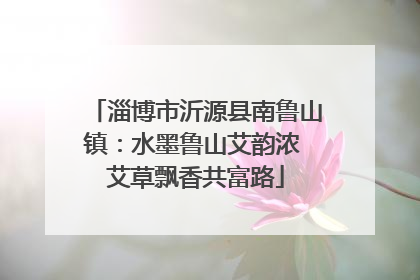 淄博市沂源县南鲁山镇：水墨鲁山艾韵浓 艾草飘香共富路