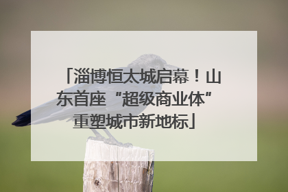 淄博恒太城启幕！山东首座“超级商业体”重塑城市新地标