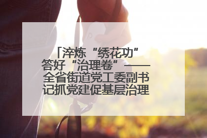 淬炼“绣花功” 答好“治理卷”——全省街道党工委副书记抓党建促基层治理培训示范班侧记