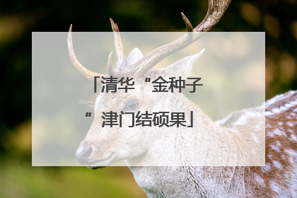 清华“金种子”津门结硕果