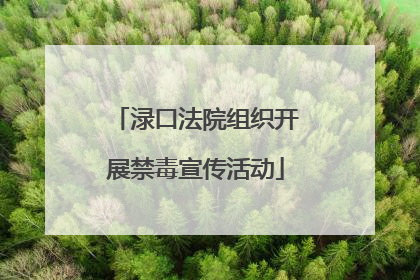 渌口法院组织开展禁毒宣传活动