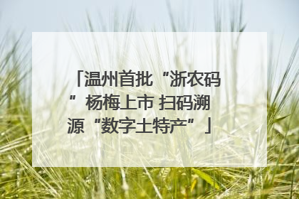 温州首批“浙农码”杨梅上市 扫码溯源“数字土特产”