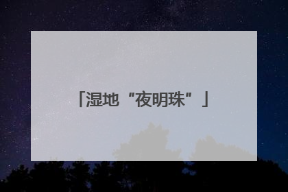湿地“夜明珠”