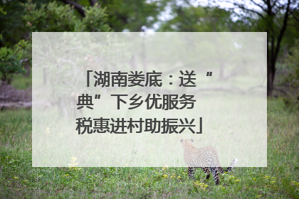湖南娄底：送“典”下乡优服务 税惠进村助振兴