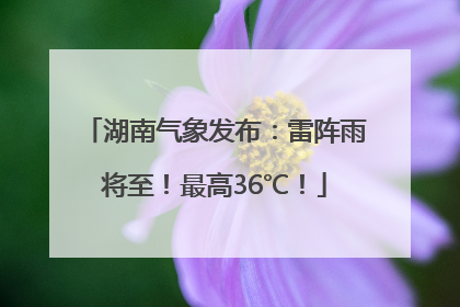 湖南气象发布：雷阵雨将至！最高36℃！