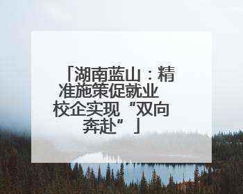 湖南蓝山：精准施策促就业 校企实现“双向奔赴”